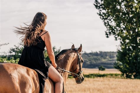 pferde ficken|Mit den besten Tierpornos mit reifen Frauen abgehen